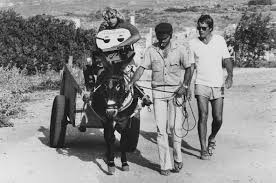 فیلم Summer Lovers 1982 – زیرنویس چسبیده