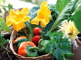 Flowers are the splendid creations of nature that help express love and bind relations together. Gardening In City By The Sea