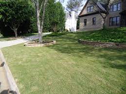 How much does zoysia grass cost per square foot. 2021 Zoysia Sod Cost Zoysia Grass Sod Prices