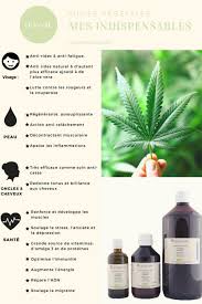Tous Les Bienfaits De L Huile De Chanvre Decouvre Mes 4 Huiles Vegetales Indispensables Alilovegood Blog Vegan Et Huile De Chanvre Huile Vegetale Vegetal