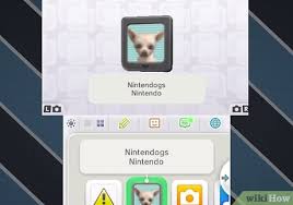 Nintendogs unlockables · stuff only certain dogs get · unlock more breeds (i list all i know) · get more dogs · one dog only · unlockables · unlock milk and canned . How To Unlock All The Dogs On Nintendogs 3 Steps With Pictures
