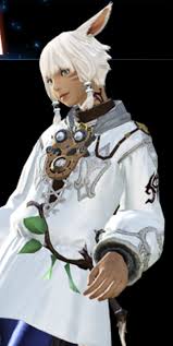 Ff14 キャラを作ろう １ 種族の種類と特徴を掴もう 今日から始める Ff14新生エオルゼア エオキナ Com