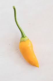 Maybe you would like to learn more about one of these? Chili Pepper Types A List Of Chili Peppers And Their Heat Levels Chili Pepper Madness