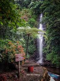 Rp 5.000 air terjun ini berada di kawasan taman hutan rakyat (tahura) raden soerjo yang dimana. Air Terjun Dlundung Tempat Wisata Keluarga Di Lereng Gunung Welirang