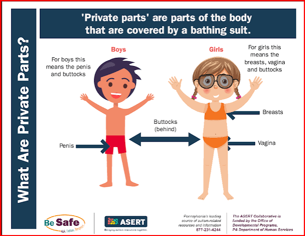 Be Safe: What are Private Parts — PAAutism.org, an ASERT Autism Resource  Guide