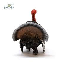 بوقلمون مینیاتوری Schleich || فروشگاه اینترنتی مارکت نوید