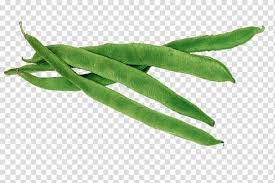 Lima Bean Runner Bean Green Bean Vegetable Bean Transparent Background Png Clipart Beans Vegetable Runner Beans Green Vegetables