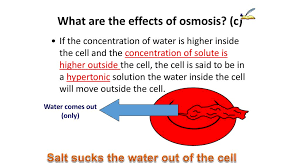 Maybe you would like to learn more about one of these? Aim What Is Osmosis Ppt Download
