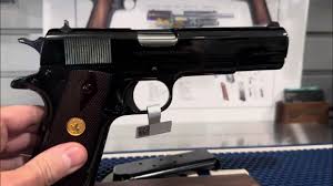 Image result for Bright Blue 1976 Colt