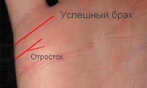 как по руке узнать сколько будет детей у женщины Izuchaem Svoyu Liniyu Braka Na Ruke Kakim Budet Brak Hiromantiya Numerologiya Domashnee Lechenie