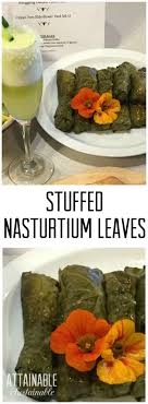 Stuffed Nasturtium Leaves Attainable Sustainable Foraging Recipes Foraged Food Edible Flowers Recipes