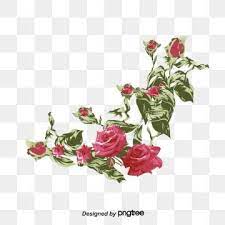Red Rose Border Rose Border Red Border Png Transparent Clipart Image And Psd File For Free Download Rose Illustration Red Roses Valentines Day Border