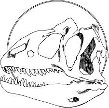 Allosaurus Allosaurus Head Fossil Coloring Page Coloring Pages Color Online Coloring