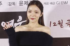 노컷뉴스 - News update