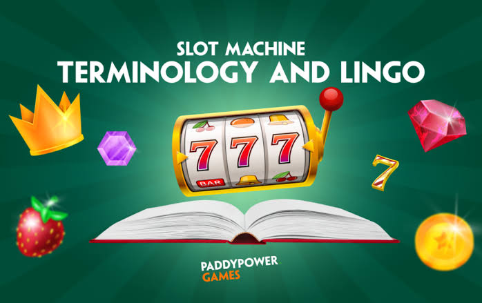 Glossary of Slot Machine Terminology & Lingo | Paddy Power – Paddy Power  News
