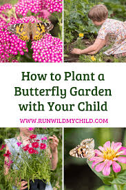 3 properties in pattaya south like butterfly garden boutique residences by luxury view were the prices at butterfly garden boutique residences by luxury view may vary depending on your stay. How To Plant A Butterfly Garden With Your Child Run Wild My Child
