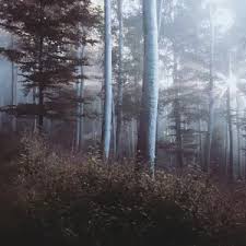 For me this play is an instruction of how not to live life, these two characters have strange. Waiting For Godot 2001 Movie Download