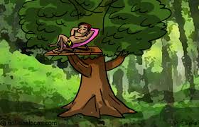 ¿quién no ha soñado tener una casa en un árbol cuando era pequeño? Todo Lo Que Necesitas Para Hacer Una Casa En Un Arbol Periodismo Com