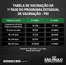 Nas últimas 24 horas, foram aplicadas 2.050.129 doses de vacinas anticovid Governo De Sao Paulo Anuncia Calendario De Vacinacao Da Covid 19 Camara Paulista Para Inclusao Da Pessoa Com Deficiencia