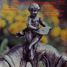 수입LP 전문점 소너스