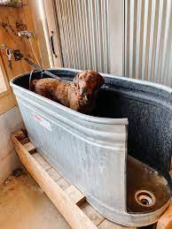 Diy Dog Wash Thermaland Oaks Dog Washing Station Dog House Diy Diy Dog Wash