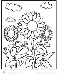 Sunflower Patch Worksheet Education Com Sunflower Coloring Pages Summer Coloring Pages Kindergarten Coloring Pages