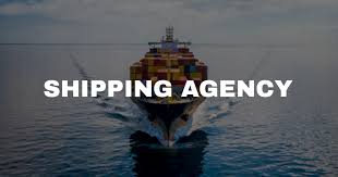 M International Group – Symbol of Shipping & Maritime Excellence