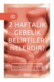 2 Haftalik Gebelik Belirtileri Nelerdir 2 Haftalik Hamilelik Belli Olur Mu Hamilelik Bilgi Rehber