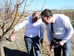Ben her zaman her türlü oluşuma, her türlü desteği i̇ç anadolu'da tuzla palas gölü tamamen kurumuş. Budama Nasil Yapilir Nelere Dikkat Edilir Ozel Haber Tarim Tv