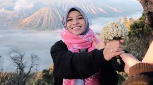 Bunga edelweis ( anaphalis javanica ) sangat popular dikalangan wisatawan. 6k4weqxks2oaom