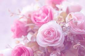 Beautiful Decoration Artificial Rose Flower Background For Valentine Day Or Wedding Card Flower Backgrounds Beautiful Decor Flowers