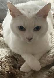 Brittany Baylor's Instagram, Twitter & Facebook