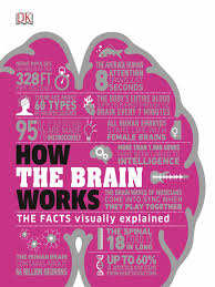 Occipitopontine bers oral dorsal paramedian. How The Brain Works Dk Pdf Cerebrospinal Fluid Central Nervous System