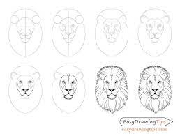 Zeichne die obere kopfhälfte und zeichne auch einige linien ein, um die vertiefungen des schädels und des. Wie Lion Face Head Schritt Fur Schritt Zu Zeichnen Easydrawingtips Easydrawingtips Schritt Zeichnen Lowe Zeichnen Tierzeichnung Lowenkopf Zeichnen