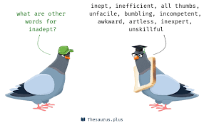 Not good at doing something: Words Inadept And Inept Are Semantically Related Or Have Similar Meaning