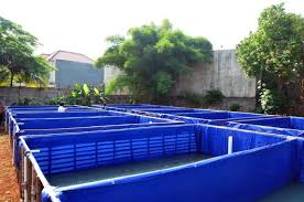 5 Kelebihan Menggunakan Kolam Terpal Kotak Produksi Prassterpal Com