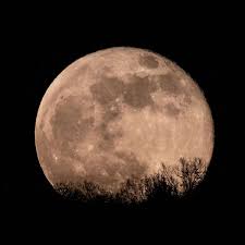 Also eigentlich ist an vollmond die erklärung für alles negative dieser welt total einfach. Super Vollmond Am 26 Mai Gibt Es Den Blumenmond Mit Einer Mondfinsternis