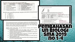 Maybe you would like to learn more about one of these? Soal Dan Pembahasan Un Biologi Sma 2019 Peranti Guru