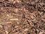 Black Mulch
