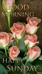 Sign In Good Morning Happy Sunday Happy Sunday Quotes Good Morning Sunday Images