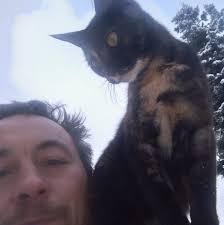 Vehicle junk haul off services needed