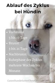 Wir verstehen, dass es frustrierend sein kann, eine ablehnung für einen einkauf zu erhalten, trotz vorheriger genehmigung. Bis Zu Welchem Alter Werden Hundinnen Laufig Dogco De