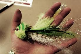To help newcomers and more experience pike fly fishermen.feel free to… Pike The Missoulian Angler Fly Shop