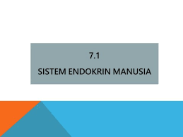We did not find results for: Nota Sains Tingkatan 4 Kssm Flip Ebook Pages 1 43 Anyflip Anyflip