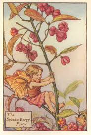 Herb fairies includes audio books. Spindleberry Cross Stitch Pattern Pdf Format Etsy Flower Fairies Flower Fairies Books Autumn Fairy