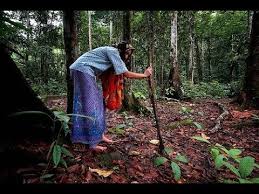 The sultan had heard of the princess' beauty and wanted to marry her, but she set seven impossible conditions for him. Misteri Nenek Kebayan Persatuan Abang Tanjung Penang Facebook