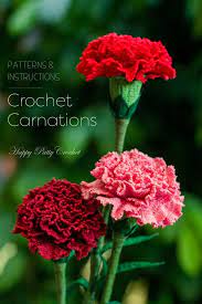 Crochet Flower Pattern For A Carnation Flower By Happy Patty Crochet Happypattycrochet Crochetflower Crochet Birth Month Flowers Carnations Carnation Flower