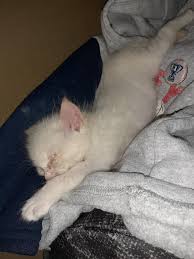 I haven't found a name yet my son is 2 and I need an easy name for him to  say thinking baby might be best but he was found a few hours