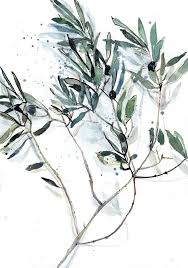 Olive Print Olive Tree Branch Watercolor Painting Olive Etsy Olive Tree Tattoos Olive Tree Painting Tree Art