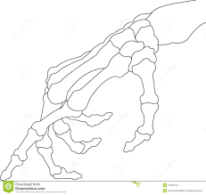 Haz tu selección entre imágenes premium sobre skeleton hand vector de la más alta calidad. Pin On Skulls